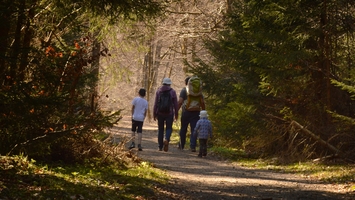 Vier Personen darunter zwei Kinder, gehen auf einem Waldweg der umgeben von Bäumen ist.