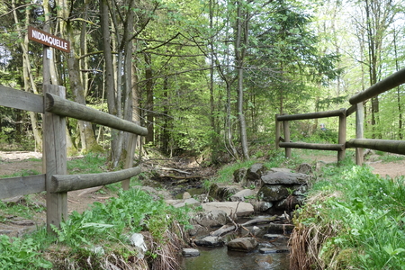 Bachlauf mit Steinen und Holzzaun in einem bewaldeten Gebiet mit grünem Laub, sowie einem Schild mit der Aufschrift "NIDDAQUELLE".