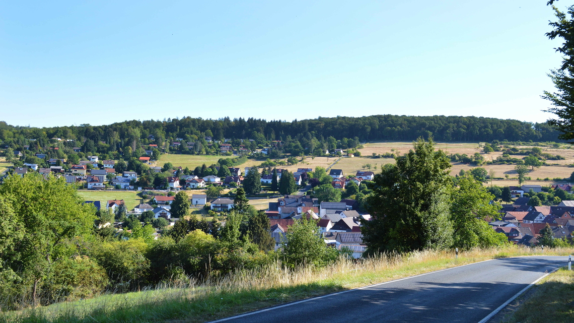 Blick auf Einartshausen und Wald im Hintergrund, im Vordergrund eine Straße und Bäume.
