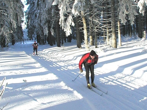 Zwei Langläufer in roter Sportkleidung auf verschneiter Waldloipe mit schneebedeckten Bäumen.