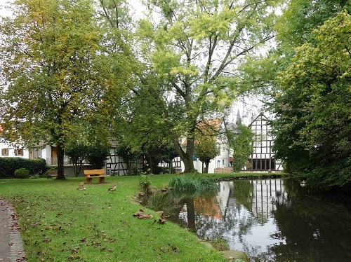 Grüne Parklandschaft mit Teich, mehreren Enten, einer Holzbank und Fachwerkhäusern im Hintergrund.
