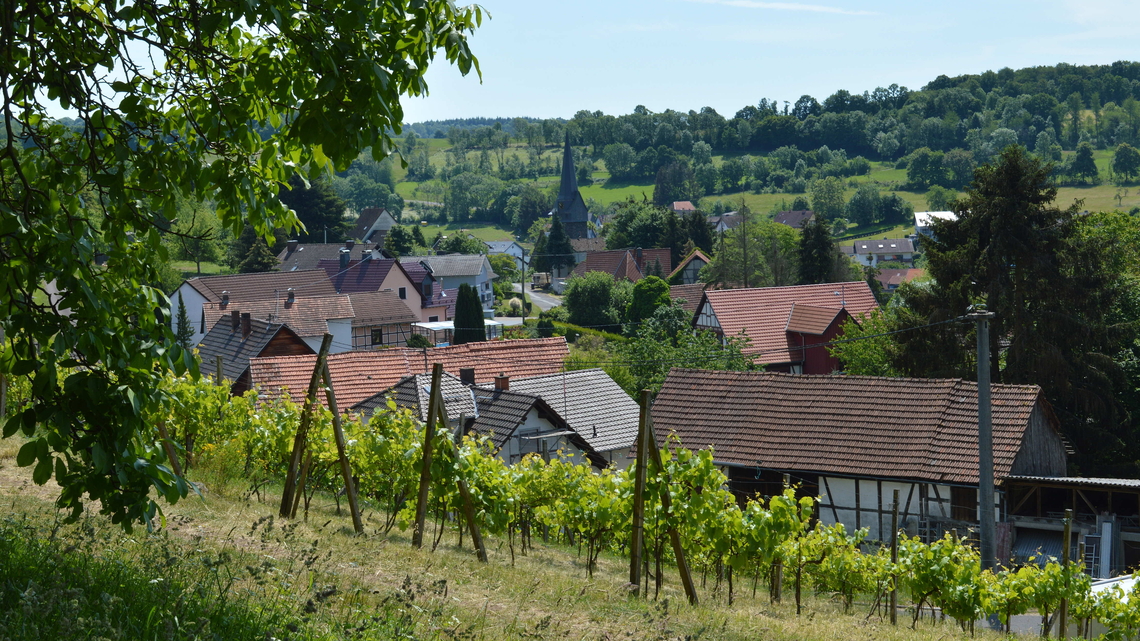 Ein blick auf Wingershausen mit Weinbergen, Häusern mit roten Ziegeldächern, einem Kirchturm und üppig grünen Hügeln im Vordergrund unter einem strahlend blauen Himmel.