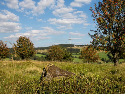 Landschaft mit Wiese, Bäumen und einem Fernmeldeturm im Hintergrund unter blauem Himmel mit Wolken.