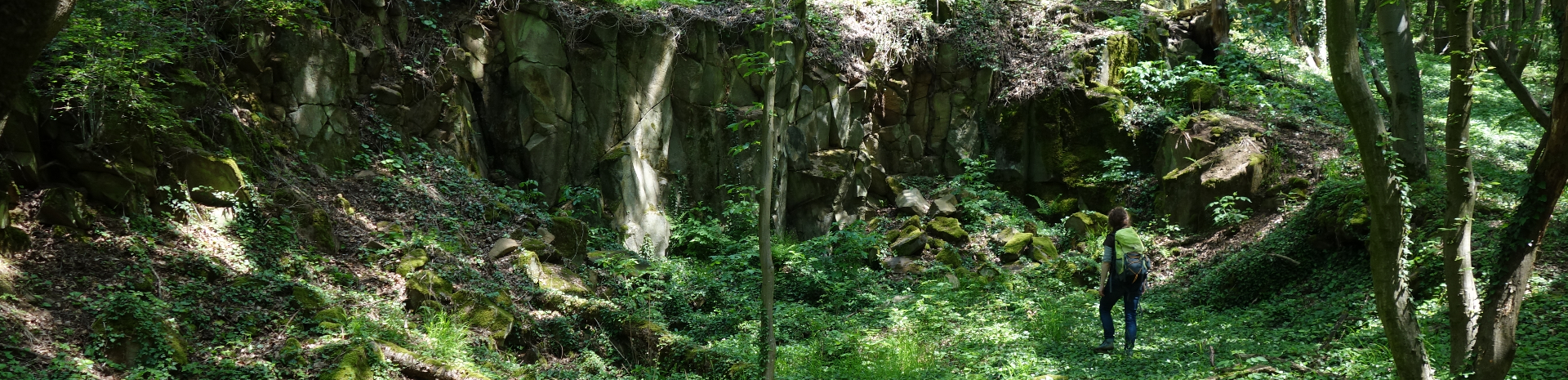 Person steht in bewaldeter Schlucht mit Felsen und dichtem Grün.