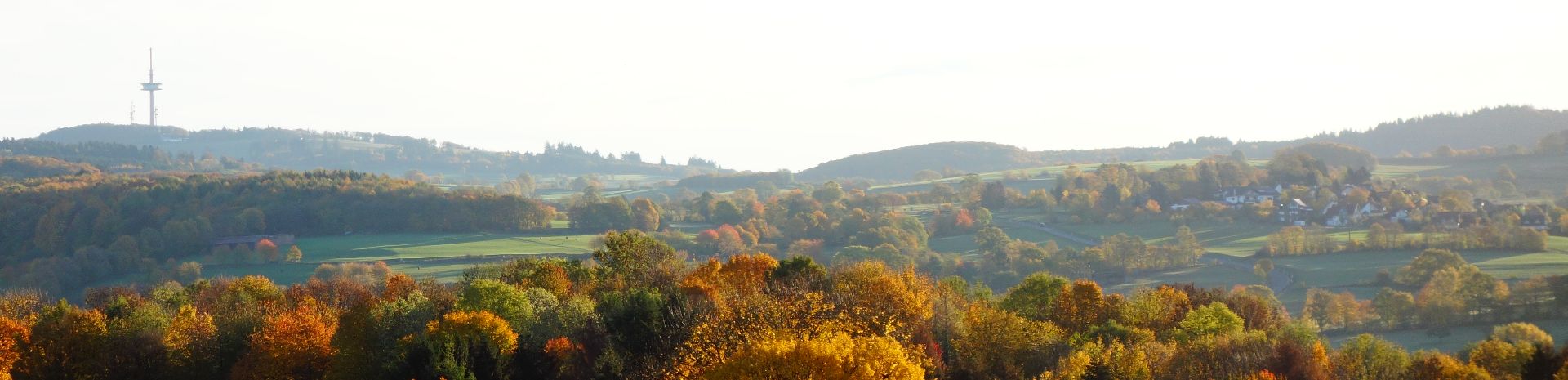 Landschaft mit Hügeln, Bäumen mit herbstlichem Laub und einem Sendemast auf einem Hügel.